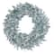 30" Warm White LED Lights Silver Fir Artificial Christmas Wreath